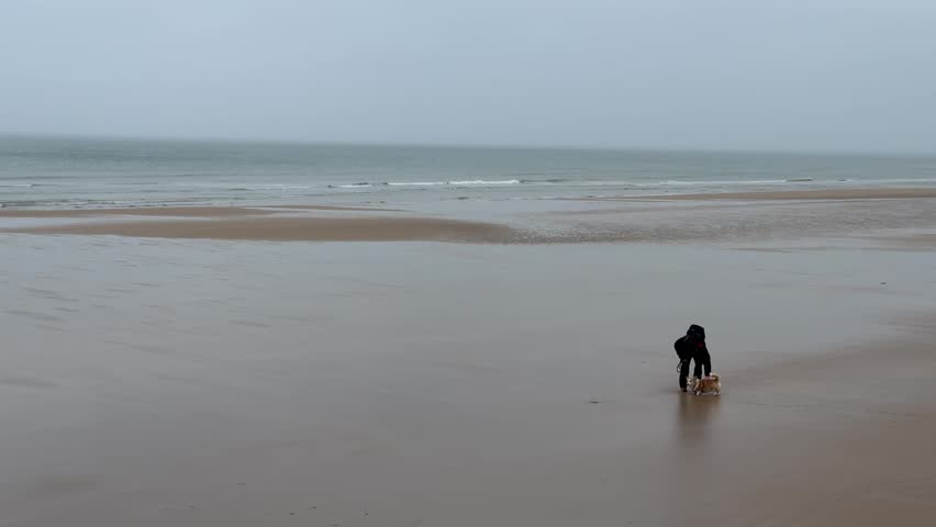 A person walks a dog on Omaha Beach as waves crash on the shore. The sky is cloudy and the beach is mostly empty. This activity takes place on a cool day by the ocean.