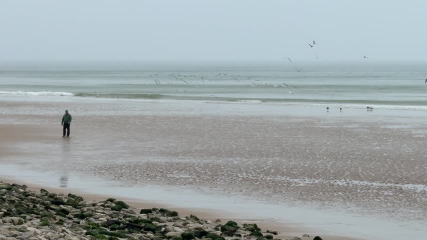 A person walks on the wet sand of Omaha Beach. Seagulls gather and fly above the water as fog hangs over the beach. The sound of waves adds to the atmosphere.