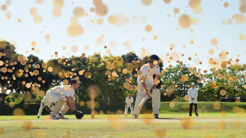 Cricket bowler running, releasing ball, batsman driving, running for run, golden bokeh hiding play. Outdoor, grass, field, trees, sunlit, daylight, players