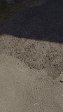 Urban erosion contrast. Shadowed pavement reveals rough surface. Worn walkway edges highlight textured cityscape. Deep shadow uncovers uneven ground with scattered debris and rugged textures - Powered by Shutterstock - Get 15% off with code: PIKWIZARD15