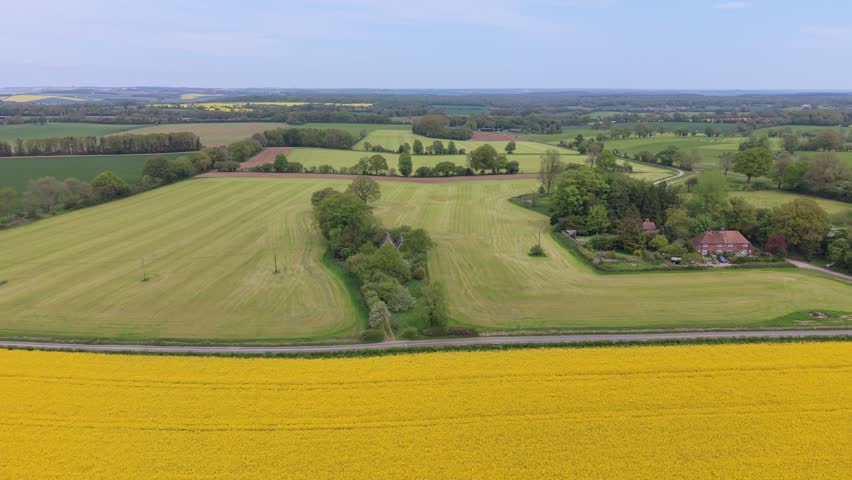 Aerial drone footage of a vibrant yellow rapeseed field in Wiltshire, England, showcasing blooming flowers across the rural countryside. Scenic elevated view highlighting the beauty of British farmland during springtime.