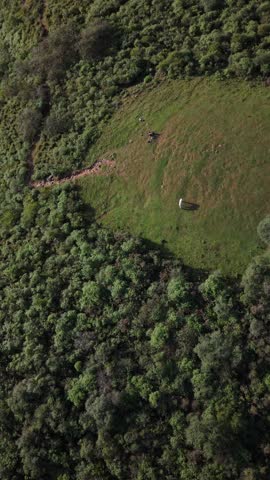 Aerial view of a green meadow surrounded by lush trees with a sea of clouds on the horizon.