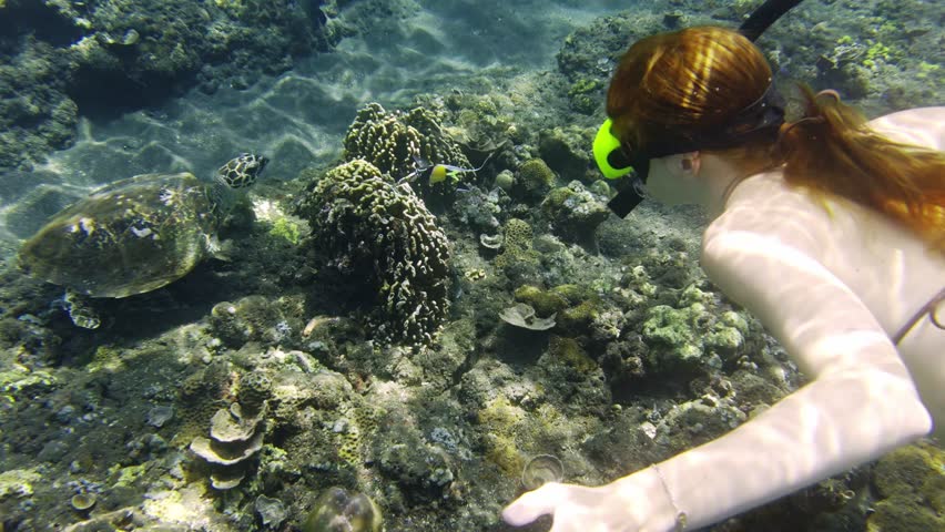 Snorkeling woman swimming with green sea turtle