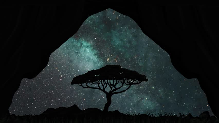 Night sky galaxy nebula and acacia tree silhouette.