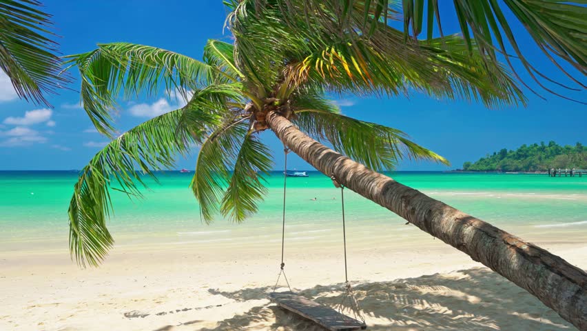 Thailand tropical island with a paradise white sand beach and coconut trees. Blue ocean off the sandy coast on a sunny summer day. Summer vacation and tropical beach concept.
