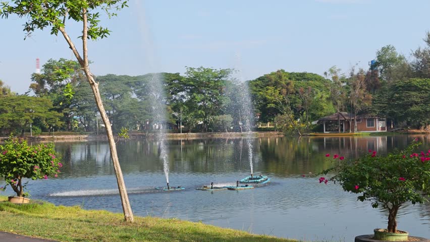 Fountain in the park pond