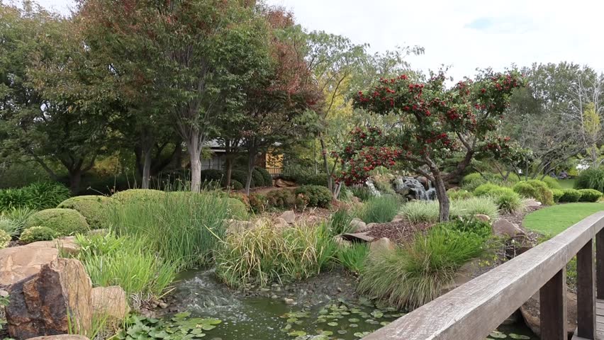 A serene Japanese-style garden features a tranquil pond surrounded by lush greenery, ornamental trees with red berries, and a wooden bridge in the foreground. The peaceful landscape showcases traditional garden design elements with carefully manicured plants and natural stone arrangements.