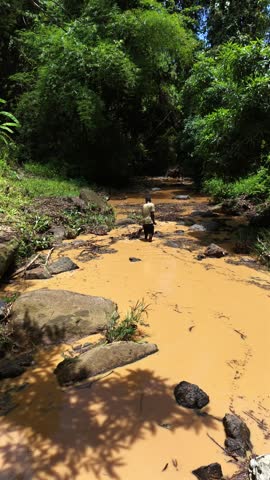 Person wades through muddy, shallow river in dense tropical forest. Water flows around rocks, leaves cover banks. Individual focused, determined, moving carefully. Ideal for adventure, survival.