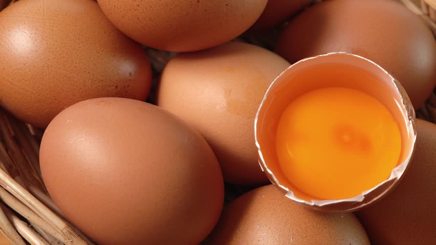 The yolk of a chicken egg	