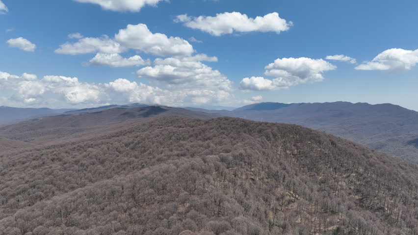 Aerial view of Sabaduri forest in Georgia at spring season with beautiful mountains and blue cloudy sky background.