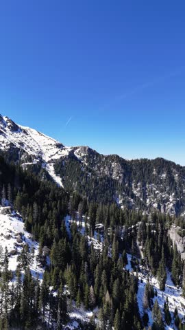 Snow-Capped Rocky Mountain Peak with Spruce Forest in Winter