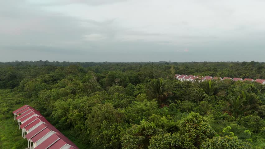 A view from above of the tropical forest, the lush trees, and new housing developments on the outskirts of the countryside.