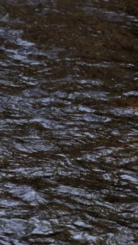 Close up of a stream at the park