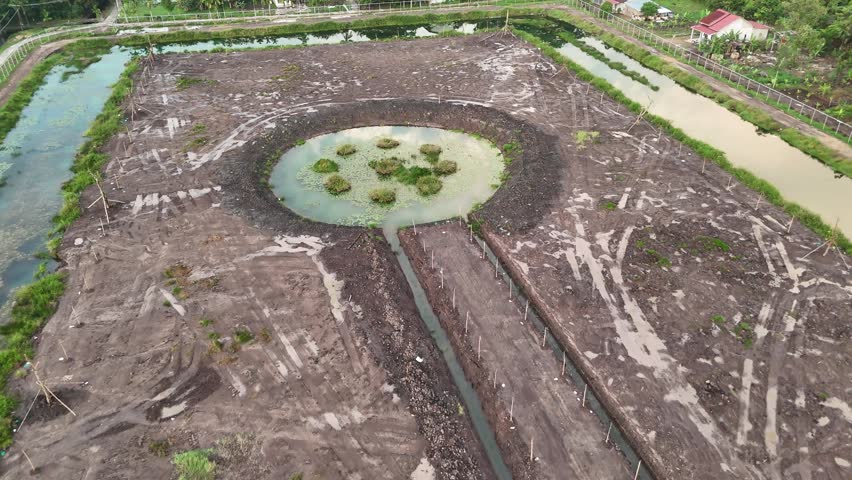 A view from above of a circular pond with lotus leaves in a landscape of cleared agricultural wetlands and irrigation canals.