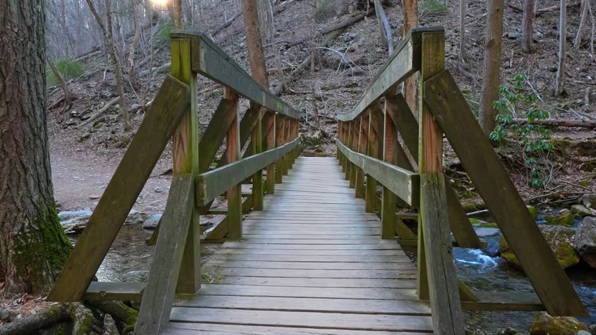 Wooden pedestrian bridge over mountain stream in forested area. Symmetry shot of a timber walkway crossing a shallow rocky creek in a dense forest.