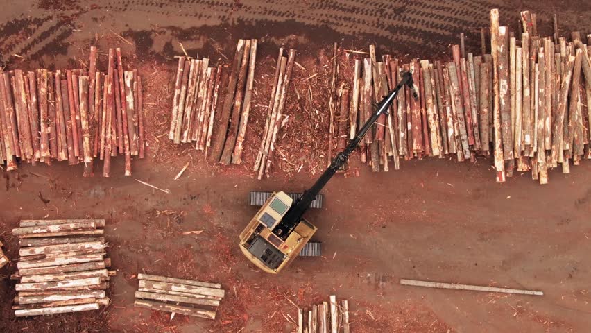 Aerial view of logging area with cut wood and heavy machinery.