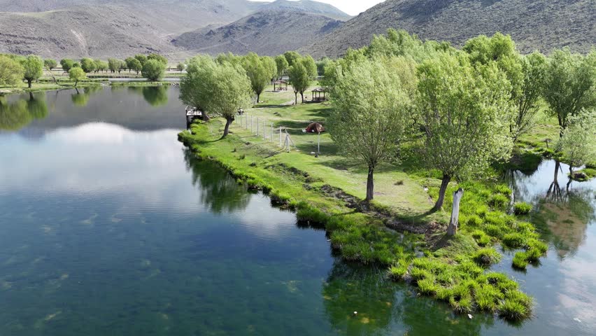 Lakeside Trees and Scenic Nature Landscape Reflection View