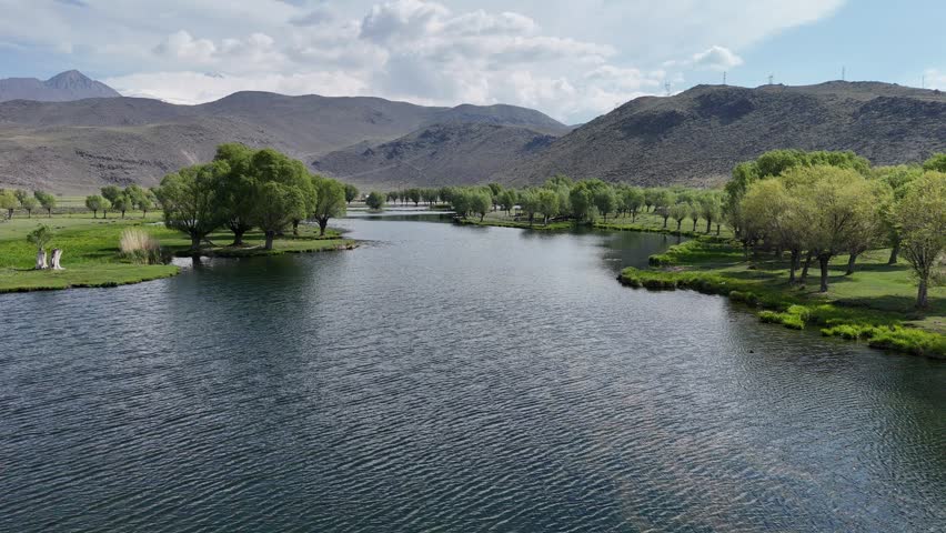 Lakeside Trees and Scenic Nature Landscape Reflection View