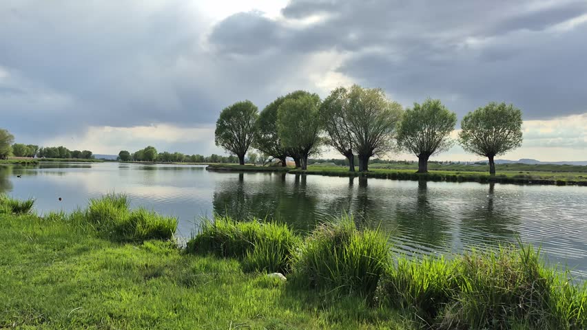 Lakeside Trees and Scenic Nature Landscape Reflection View