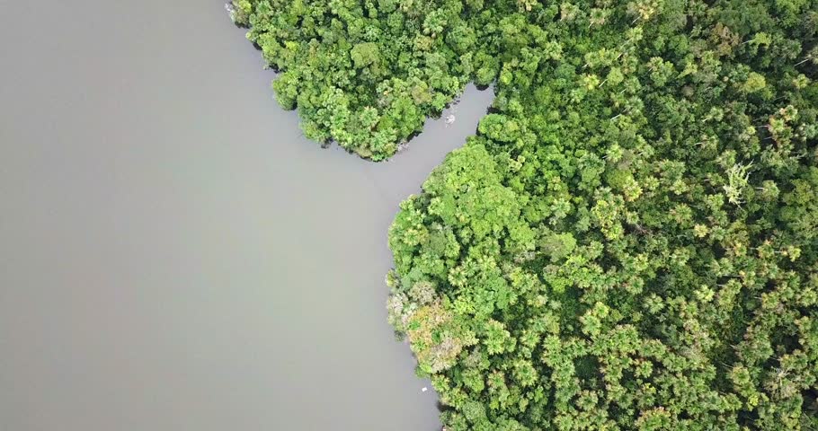 Top down aerial view of Amazon rainforest canopy with river near Iquitos Peru
