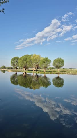 Lakeside Trees and Scenic Nature Landscape Reflection View