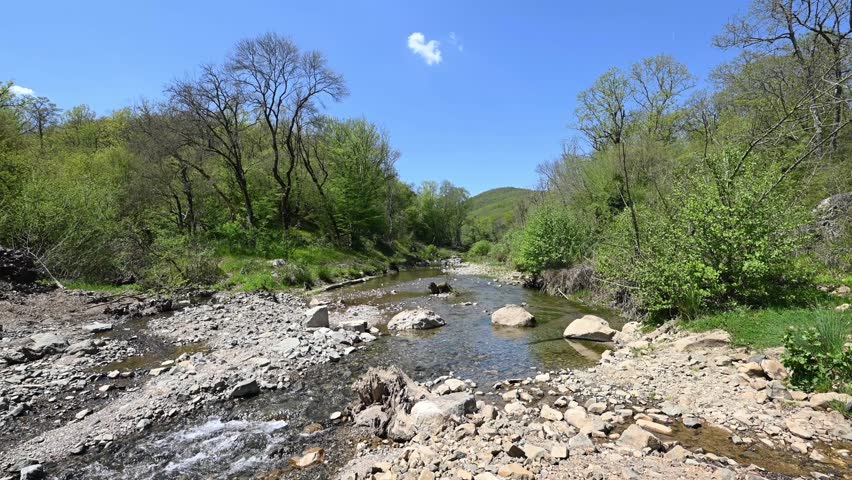 A forest stream flows through a rocky green valley beneath clear blue sky, forming a bright spring landscape of water, trees, and stone.