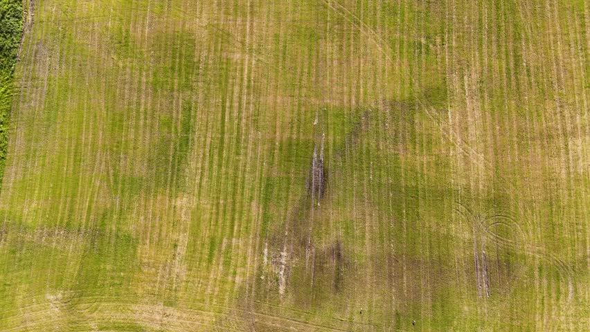 Aerial drone footage flying backward over a rural landscape. A green mown field with tire tracks gives way to a lush, dense forest