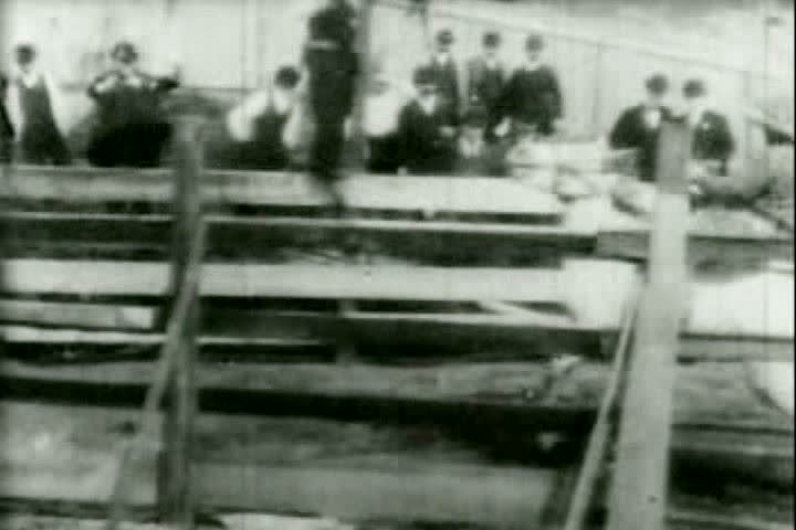 1890s - A bucking bronco