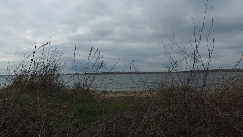 Cinematic footage of a large concrete drainage pipe surrounded by dry coastal vegetation beside choppy water under dramatic overcast skies. Camera moves through wild shoreline terrain and approaches abandoned storm drain infrastructure with gritty textures, muted winter colors and melancholic atmosphere. Environmental scene suitable for urban decay, drainage systems, industrial shoreline, pollution themes, storm weather and dystopian documentary concepts