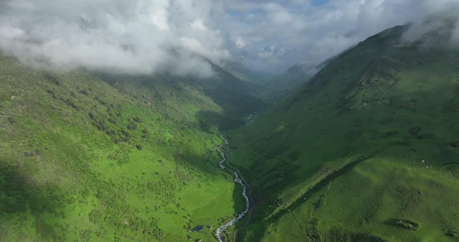 Aerial footage of beautiful high altitude snowcapped mountains and forest landscape