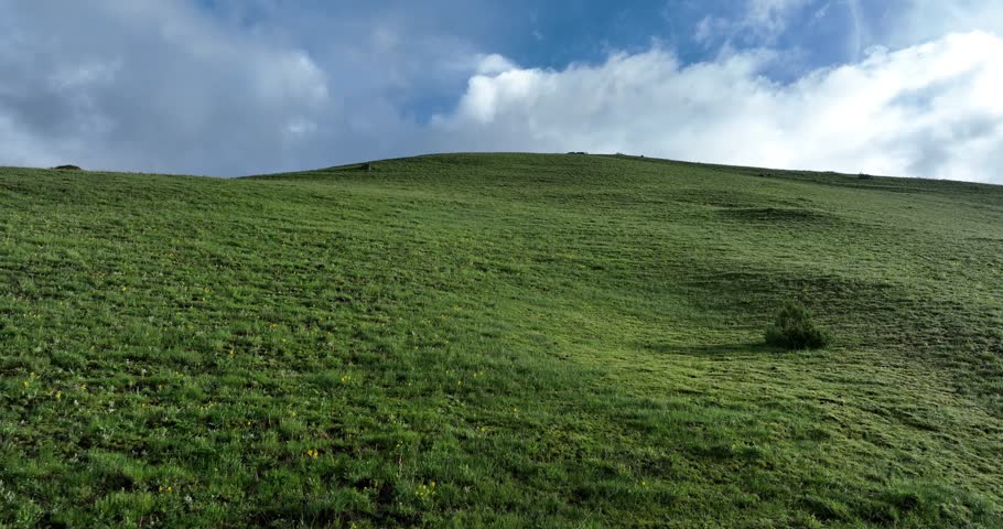 Beautiful green grassland and cloudy sky in the sunrise	