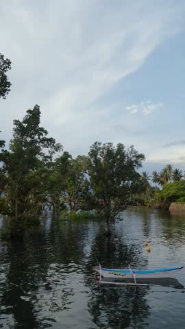 Mangrove lagoon with small traditional boat and calm water under blue cloudy sky; slow pan right to left in vertical 4K frame. Ideal to establish tropical location, to create cinematic background, to support travel storytelling.
