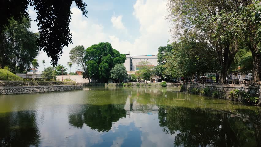 A tranquil scene of a pond reflecting surrounding greenery and a bright sky.
