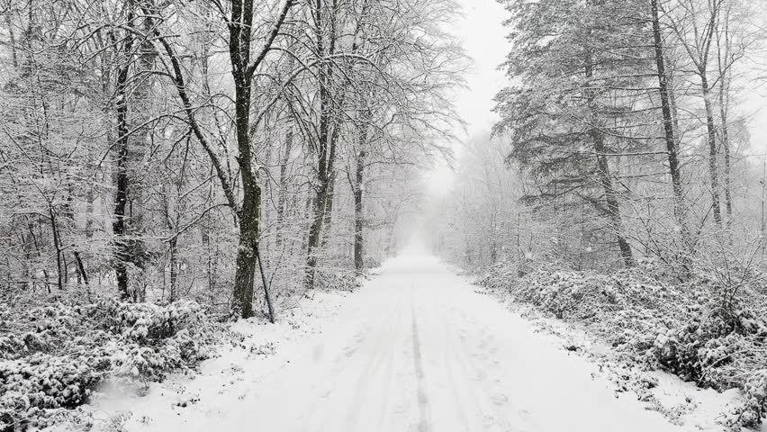 Serene Winter Landscape of a Snow Covered Road Through a Dense Forest with Snow Falling Gently