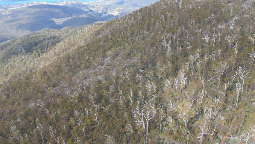 Hobart City Reveal Mt Wellington Tasmania Aerial 4K