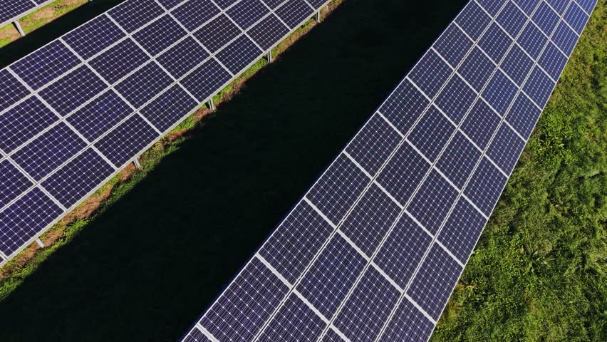 Workers maintain solar panels at a renewable energy site during midday. The panels are arranged in systematic rows, capturing sunlight for energy production.