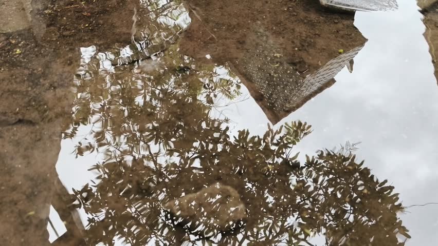 puddle of rainwater, video taken from the front position