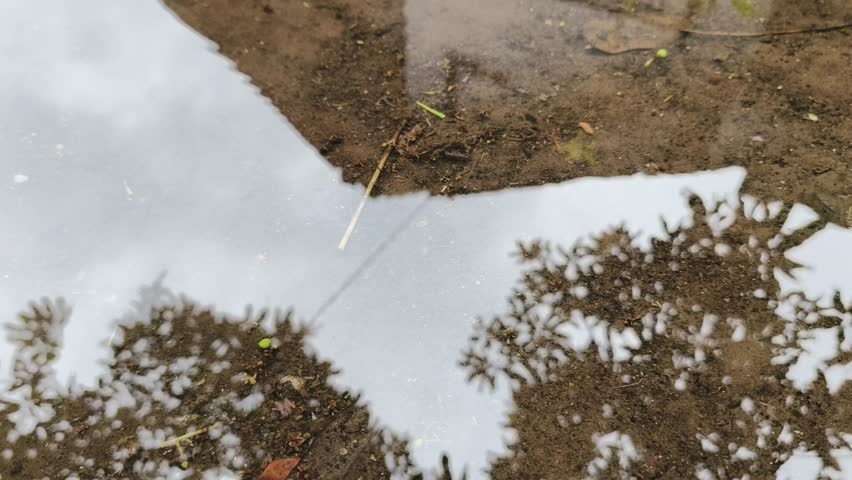 puddle of rainwater, video taken from the front position