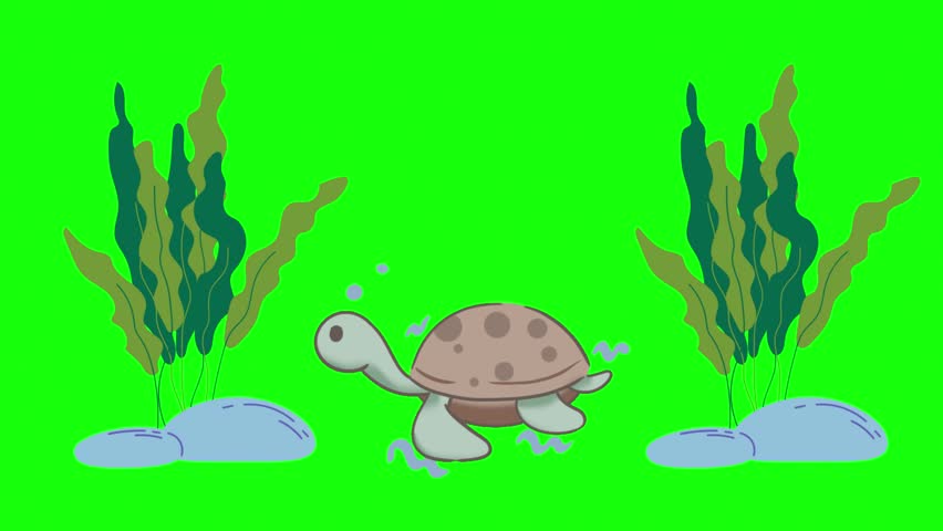 Cartoon turtle swimming underwater with seaweed and rocks