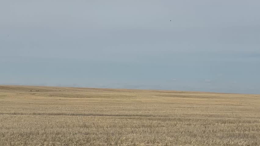 View of open prairie fields across rural Alberta countryside landscape
