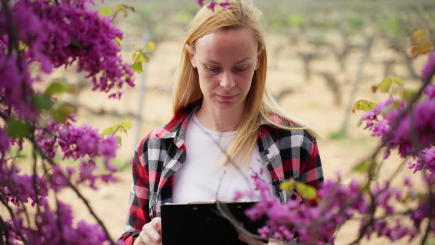 Female specialist examining blooming trees in an orchard, representing sustainable agriculture, eco-friendly farming, and environmental care during the spring season.
