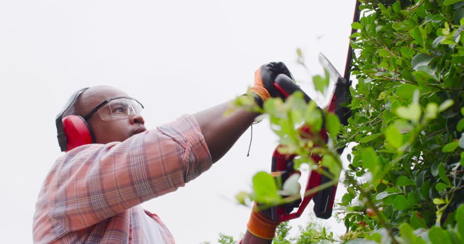 African American man lifting red trimmer, cutting hedge, shaping foliage in garden with earmuffs. Landscaper, backyard, outdoor, greenery, pruning, gloves, overcast