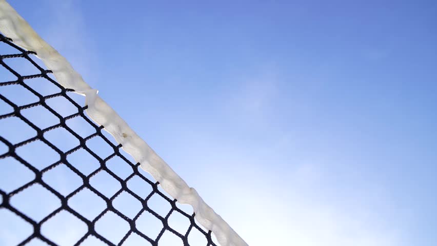 Low angle view of a happy multiethnic couple holding paddles and celebrating a victory by the net on a pickleball court against a clear blue sky on a sunny summer day
