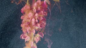 Pink hanging blooms submerged in colorful ink swirl with orange and magenta plumes, dramatic botanical footage for fashion and art campaigns - Powered by Shutterstock - Get 15% off with code: PIKWIZARD15