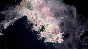 Clustered blossoms cascading in ink plume, vertical spray of tiny flowers enveloped by milky currents, graceful motion and misty trails highlight - Powered by Shutterstock - Get 15% off with code: PIKWIZARD15