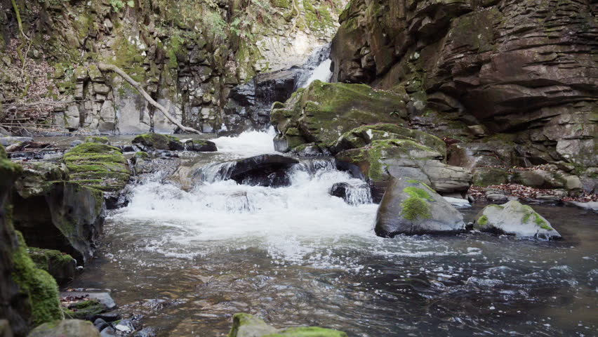 A small waterfall in a forest