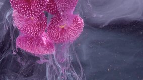 Pink petal cluster in vortex of colored water, cascading ink ribbons and tiny golden flecks, editorial studio shot evoking motion, luxury fragrance - Powered by Shutterstock - Get 15% off with code: PIKWIZARD15