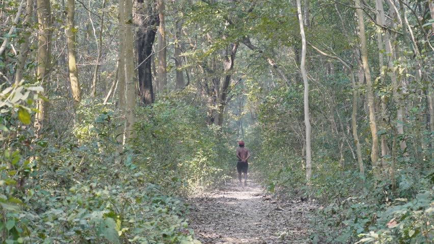 Walker on Sunlit Forest Dirt Path