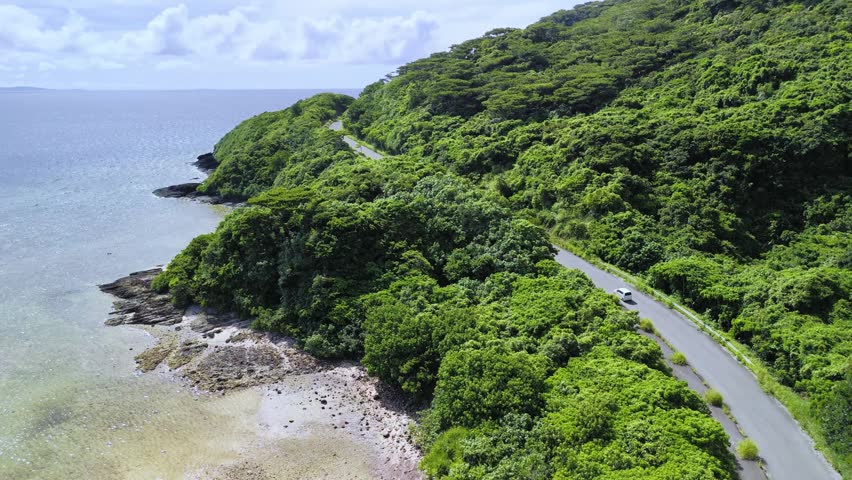 Aerial tracking shot of a car driving along a scenic coastal road winding through dense jungle cliffs.