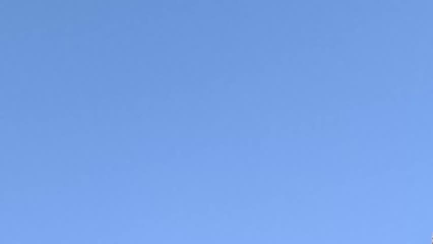 White seagull flies across clear blue sky in slow motion, moving from lower left upward, gliding and turning gracefully, wings spread wide against clean azure background.